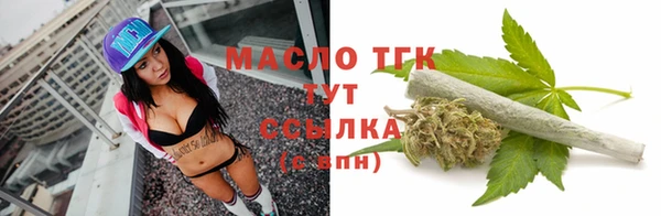 прущий лед Пересвет