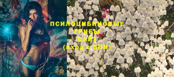 прущие грибы Пестово