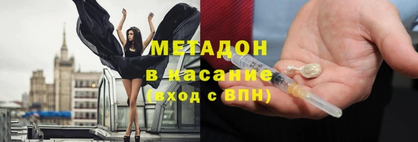 прущие грибы Пестово