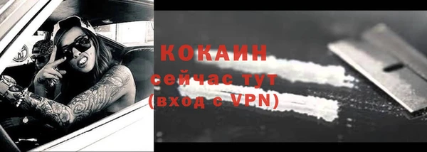 прущие грибы Пестово