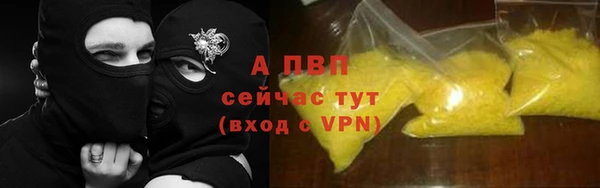 прущие грибы Пестово