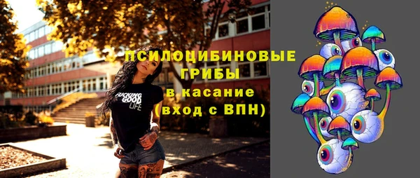 прущие грибы Пестово