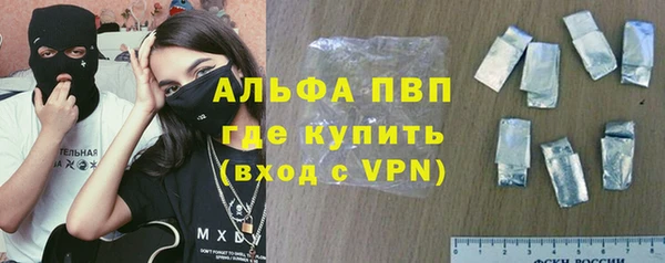 прущие грибы Пестово