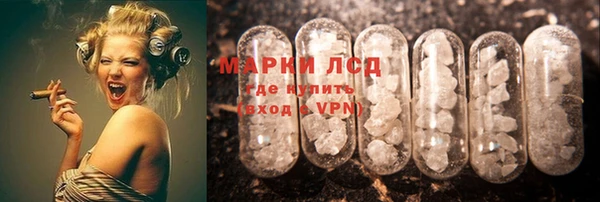прущие грибы Пестово