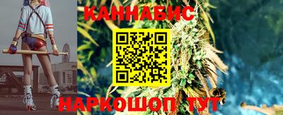 гашик Донецк