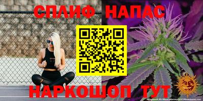 гашик Донецк