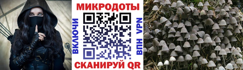 купить  сайты  shop как зайти  Галлюциногенные грибы GOLDEN TEACHER  Красноярск 