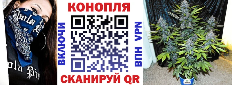 купить  сайты  Красноярск  ссылка на мегу вход  Каннабис марихуана 